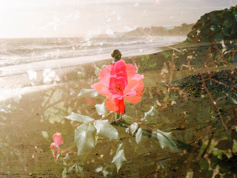 Taylor Rose double exposed with a rose in San Simeon, California