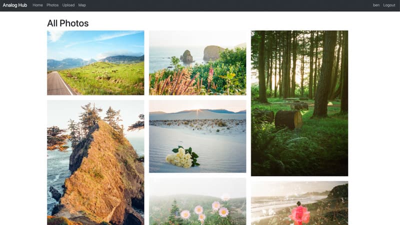 Analog Hub | Film Photography Social Media Website