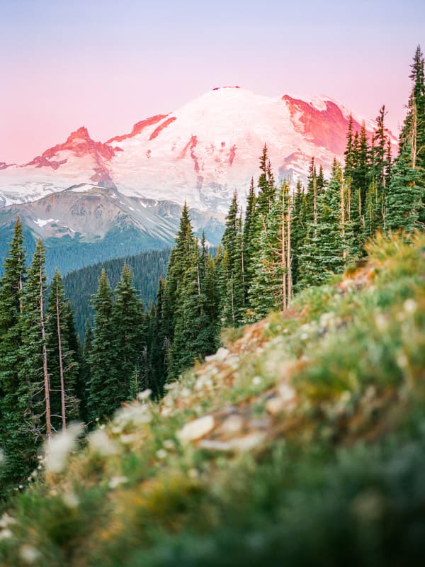 Sunrise over Mount Rainier in Sunrise, Washington